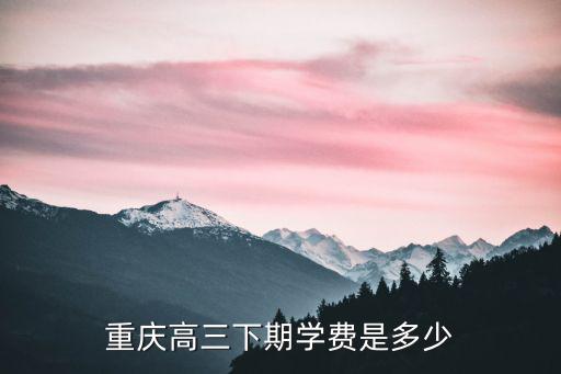 重慶市高三的學費多少錢，重慶高三下期學費是多少