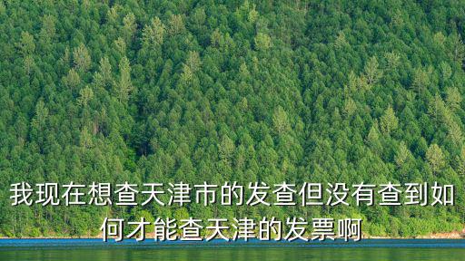 我現在想查天津市的發查但沒有查到如何才能查天津的發票啊