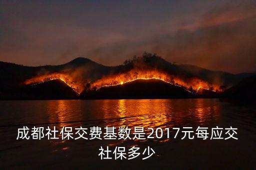 成都市酒店社保扣費標準，成都社保最低繳費標準是多少