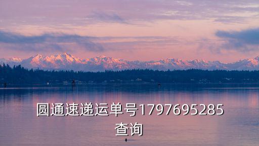 圓通速遞運(yùn)單號1797695285查詢