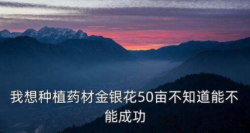 我想種植藥材金銀花50畝不知道能不能成功