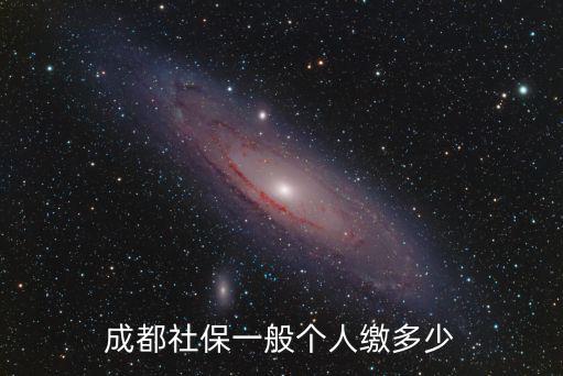 成都社保一般個人繳多少