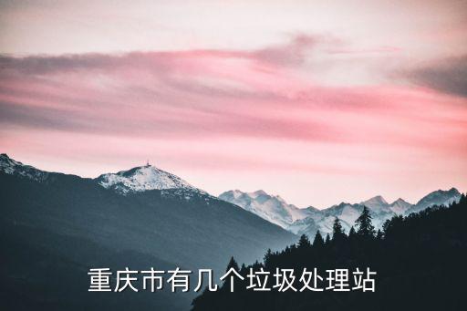 重慶市有幾個垃圾處理站