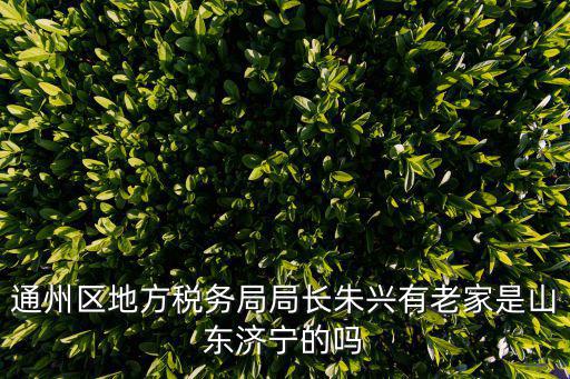 成都市稅務稽查局朱局長，通州區地方稅務局局長朱興有老家是山東濟寧的嗎