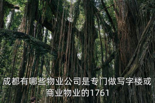 成都有哪些物業公司是專門做寫字樓或商業物業的1761