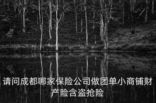 請問成都哪家保險公司做團單小商鋪財產險含盜搶險