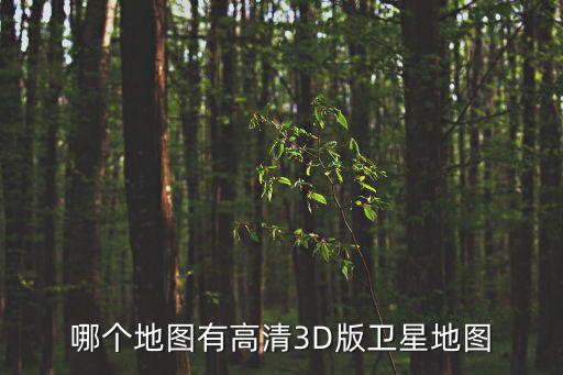 哪個地圖有高清3D版衛星地圖