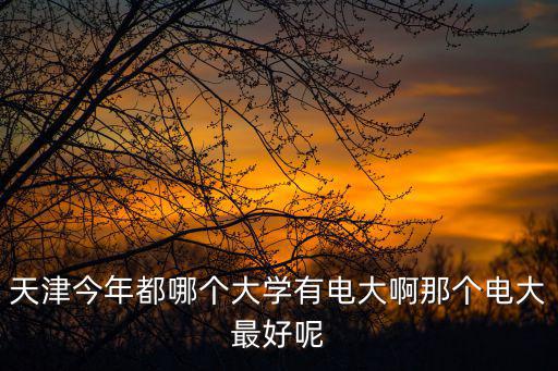 天津今年都哪個大學有電大啊那個電大最好呢