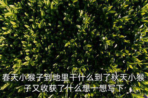 春天小猴子到地里干什么到了秋天小猴子又收獲了什么想一想寫下