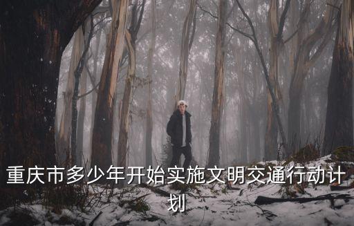 重慶市多少年開始實施文明交通行動計劃