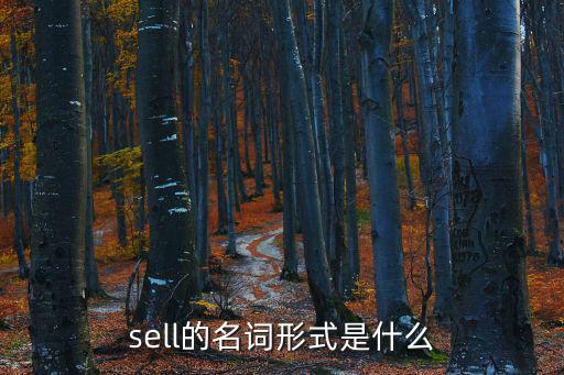 sell的名詞，sell的名詞形式