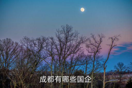 成都有哪些國企