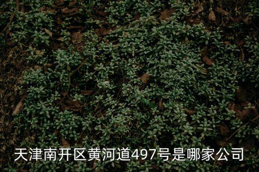 天津南開區(qū)黃河道497號是哪家公司