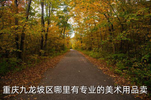重慶九龍坡區哪里有專業的美術用品賣