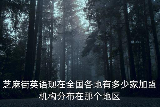芝麻街英語現在全國各地有多少家加盟機構分布在那個地區