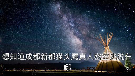 想知道成都新都貓頭鷹真人密室逃脫在哪