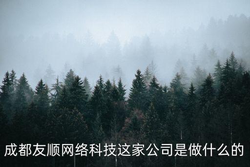成都友順網絡科技這家公司是做什么的
