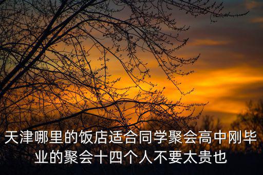 天津哪里的飯店適合同學(xué)聚會(huì)高中剛畢業(yè)的聚會(huì)十四個(gè)人不要太貴也