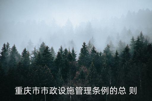 重慶市市政廣告管理條例，重慶市人民政府03年13號文件