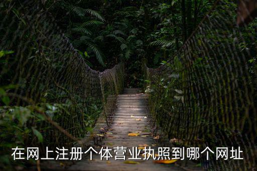 在網(wǎng)上注冊(cè)個(gè)體營(yíng)業(yè)執(zhí)照到哪個(gè)網(wǎng)址