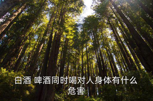 白酒和啤酒一起喝有什么危害,啤酒和白酒混合喝更容易醉酒