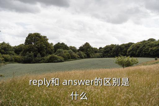 answer是什么意思,一文讀懂!英國網民怎么說?