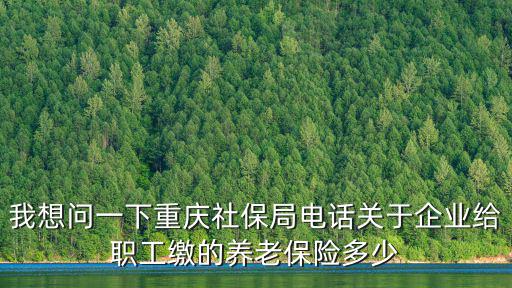 我想問一下重慶社保局電話關于企業給職工繳的養老保險多少