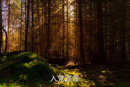 在黨言黨,入黨宣言:永不背叛黨誓詞