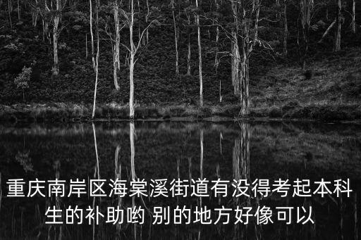 重慶南岸區海棠溪街道有沒得考起本科生的補助喲 別的地方好像可以