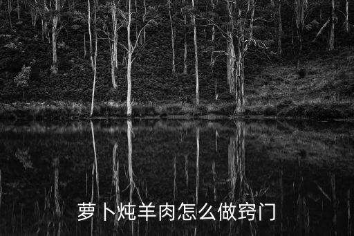蘿卜燉羊肉怎么做竅門