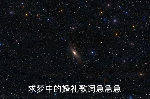 求夢中的婚禮歌詞急急急