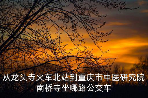 從龍頭寺火車北站到重慶市中醫研究院南橋寺坐哪路公交車