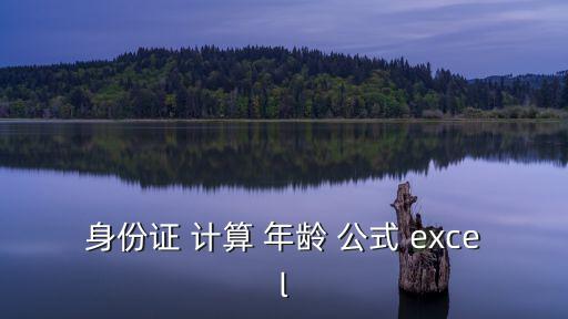 身份證 計算 年齡 公式 excel