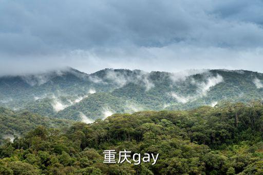 重慶gay
