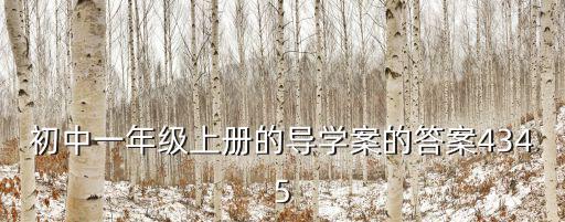 導學案答案，初中一年級上冊的導學案的答案4345