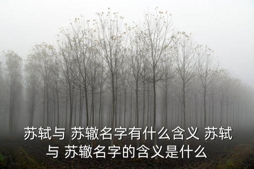  蘇軾與 蘇轍名字有什么含義 蘇軾與 蘇轍名字的含義是什么