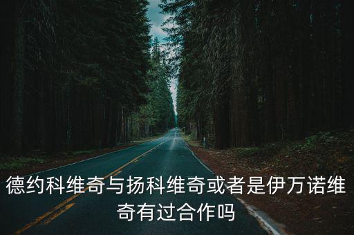 德約科維奇與揚科維奇或者是伊萬諾維奇有過合作嗎