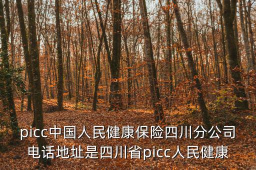 成都市健康保險，成都中國人民健康保險股份有限公司的地址