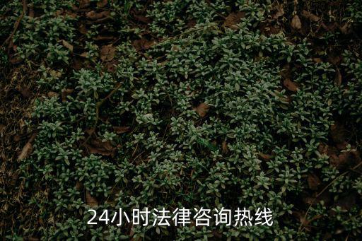 24小時法律咨詢熱線