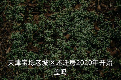 天津寶坻老城區還遷房2020年開始蓋嗎