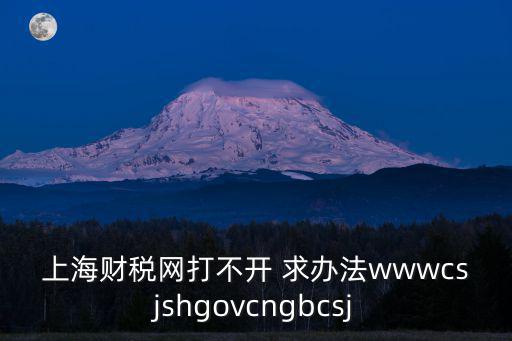 上海財稅網打不開 求辦法wwwcsjshgovcngbcsj
