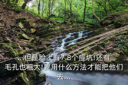 ...但是臉上有7.8個痘坑!還有毛孔也粗大!要用什么方法才能把他們去...