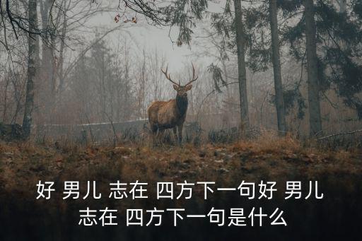 好 男兒 志在 四方下一句好 男兒 志在 四方下一句是什么