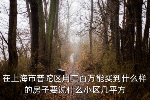 在上海市普陀區(qū)用三百萬能買到什么樣的房子要說什么小區(qū)幾平方