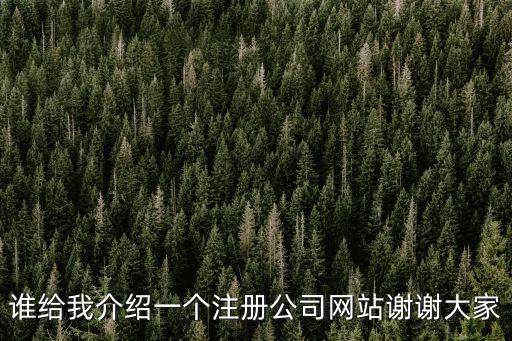 誰給我介紹一個注冊公司網站謝謝大家