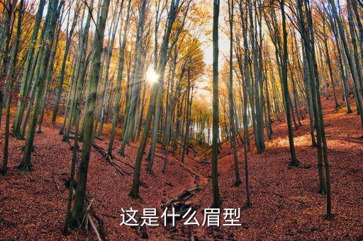 自然眉,如何在原有眉形基礎上畫眉毛?