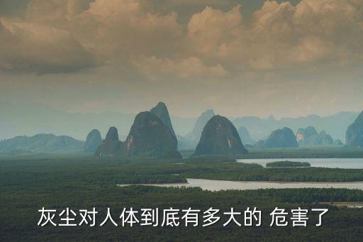 灰塵的危害,專家:病菌若附在空氣中傳播可能性大大增加