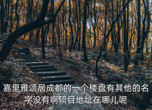 嘉里雅頌居成都的一個樓盤有其他的名字沒有啊項目地址在哪兒呢