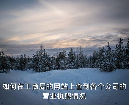 如何在工商局的網站上查到各個公司的營業執照情況