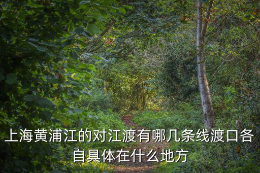 上海黃浦江的對(duì)江渡有哪幾條線渡口各自具體在什么地方